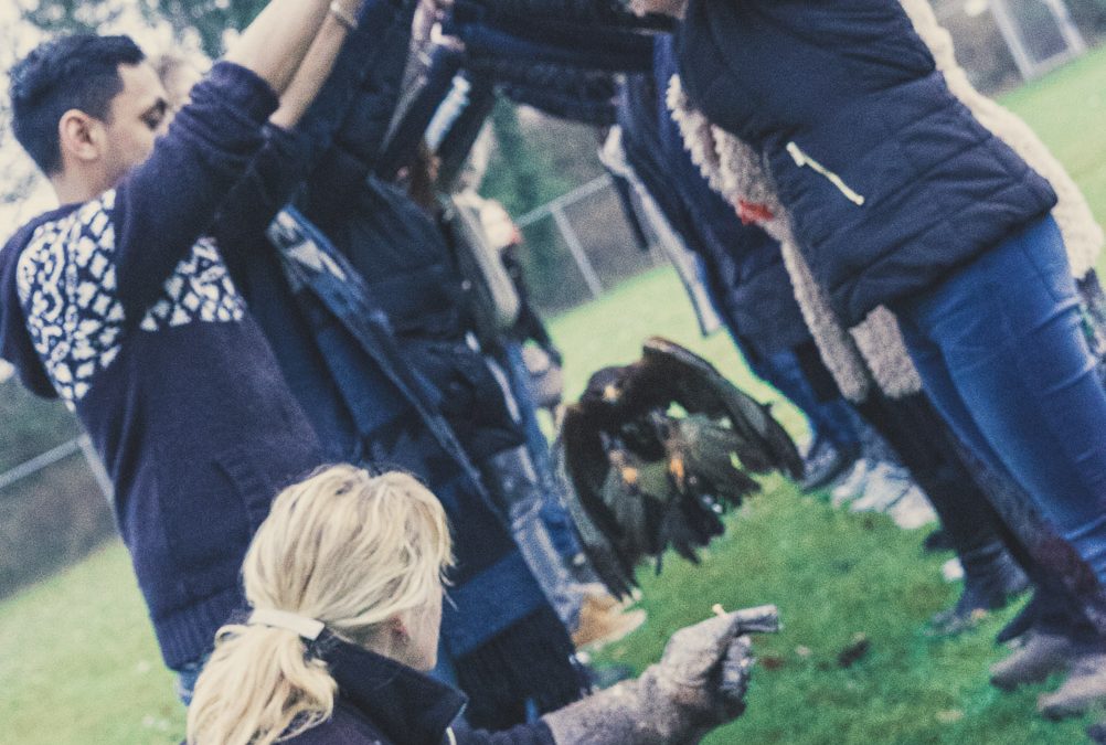 PKP-dag: Maatschappelijk betrokken teambuilding met sociaal impact